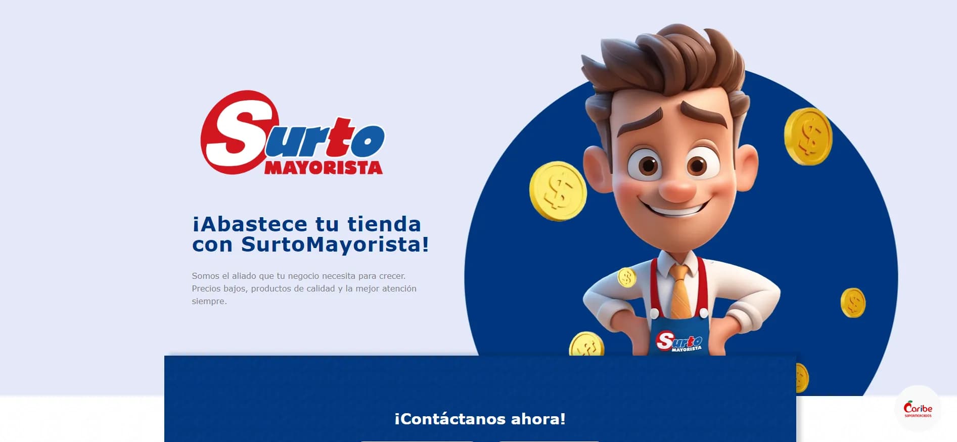 Captura de pantalla de Surto Mayorista